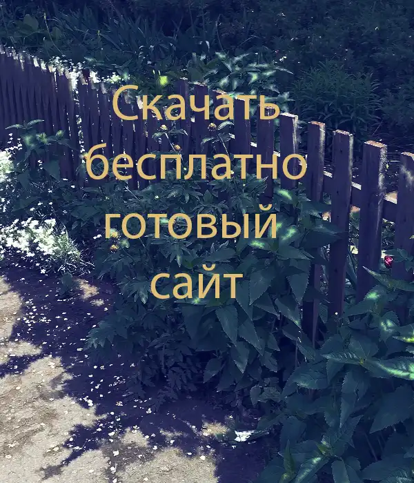 Скачать готовый сайт